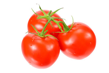 branch of fresh tomatoes isolated on white background