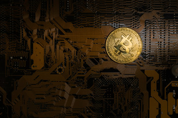 Bitcoin golden coin on computer circuit board