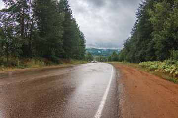 A road in a rainy day. Heavy clouds are above