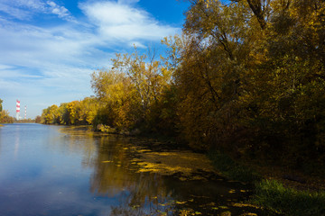 Obraz premium Epic aerial flight over water. Colorful autumn trees in the daytime. Drone flies along a river with yellow trees. Warsaw. Poland. Beautiful river view with autumn trees. 