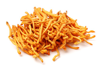 Fresh Cordyceps mushroom on white background