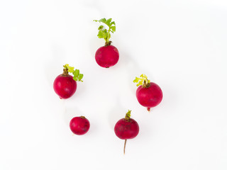 Fresh isolated radish on white background.