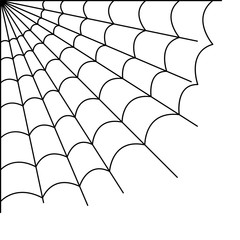 drawing of scary spider web on white background