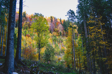Fototapeta premium Mountaintrip in the Alps