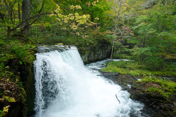 青森県奥入瀬渓流　銚子大滝と紅葉の景色