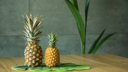  Small ripe pineapple from home-grown.  Healthy food fruit purees