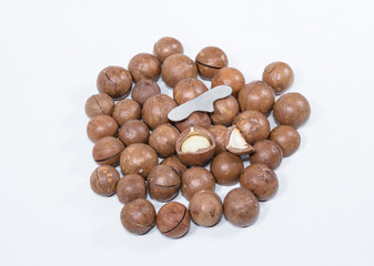 Open Macadamia nut by tool on background