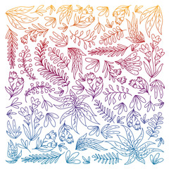 Hand vector drawn floral, leaves elements. Pattern for logo, greeting card, wedding design.