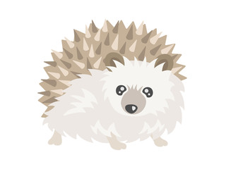 ハリネズミのイラスト © R-DESIGN