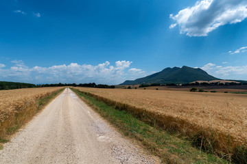 Fototapeta na wymiar Rural landscape in the Rome province