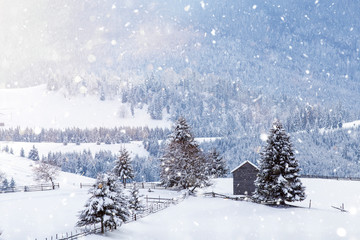 Scenic winter landscape with snowy fir trees and small cottage. 