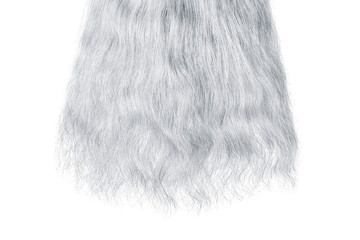 Long damaged straight gray hair isolated on white background