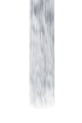 Long damaged straight gray hair isolated on white background