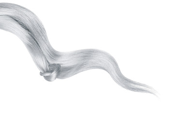 Gray hair knot isolated on white background. Long wavy ponytail