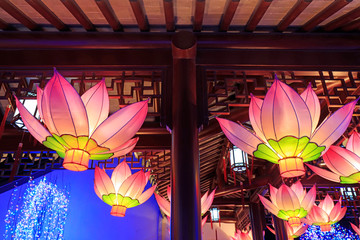 lotus lantern in the park, China