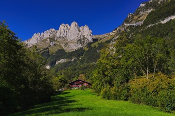 Fototapeta na wymiar schweizer alpen