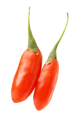 Goji berry isolated on white background