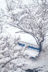 Snow has covered branches of trees and old blue bench. City courtyard is densely covered with snow.