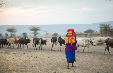 maasai woman walking back home from a well