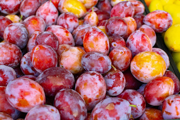 Sweet ripe red plums, healthy organic fruits