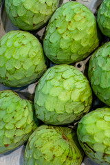 Tropical fruit cherimoya, ice cream fruit or custard apple
