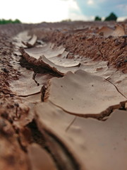Red dry mud broken wallpaper 