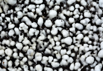 crystalline salt on the soil