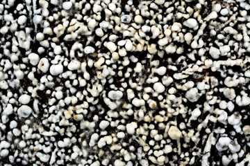 Crystallized salt on the ground in Sovata resort