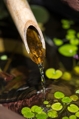 日本のつくばい　和風イメージ