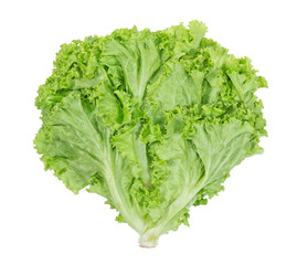 Lettuce leaf on white background,Salad ingredient