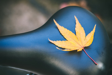 落ち葉と自転車のサドル