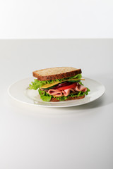 fresh sandwich with lettuce, ham, cheese, bacon and tomato on plate isolated on white