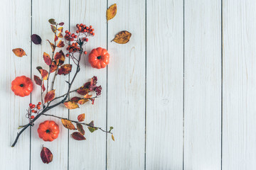 pumpkins and branch of rowan on white retro wood boards. background. Autumn, fall concept. Flat lay, top view.