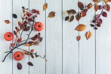 pumpkins and branch of rowan on white retro wood boards. background. Autumn, fall concept. Flat lay, top view.