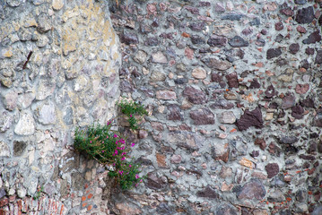 Background of stone wall texture