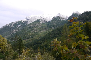 In der Nähe der Bindalm