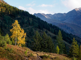 Herbst in den Alpen 8
