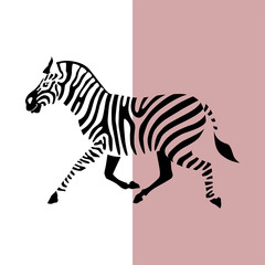 Transparent silhouette silhouette of running zebra. Vector illustration EPS 8 - obrazy, fototapety, plakaty