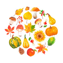 Watercolor hand-drawn set of autumn harvest in a circle. Autumn mushroom, leaf, pine cone, pumpkin, acorn, cranberry, apple, rosehip, sunflower, rowan. A collection of elements from the forest, farm.