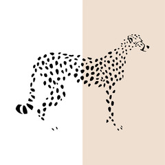 Transparent silhouette of standing cheetah. Vector illustration EPS 8