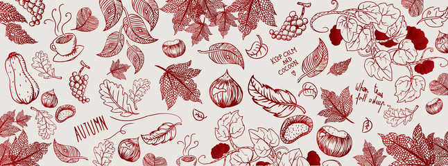 Autumn doodles background