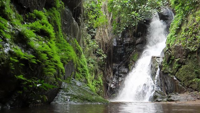 Slow motion of a waterfall pouring into a river below in a lush jungle water fall in Togo Africa