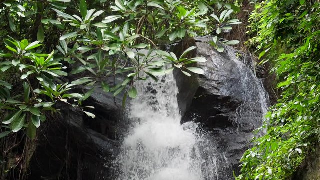 Slow motion of water rushing over a cliff's edge deep in the jungle of Togo Africa
