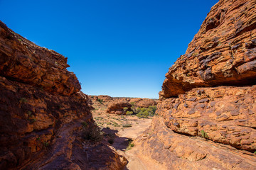Rote Erde und Felsw&auml;nde Canyon