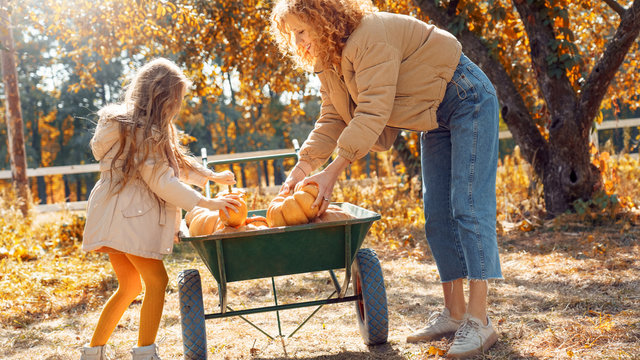 Mother and little daughter holding pumpkin in hands, standing near wheelbarrow