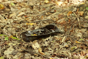 Barquette en plastique jetée dans la nature