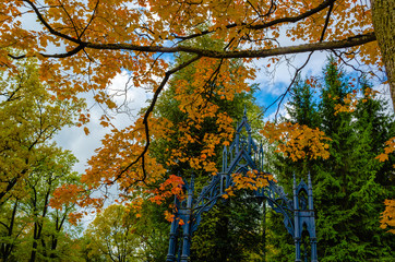 Bright landscape in the autumn Park with iron Gothic gate on blue sky background