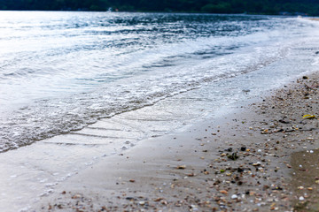 seashell on the sandy beach with ocean tidal waves breaking on a sand beach splashing