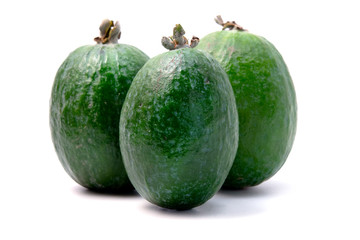 Feijoa