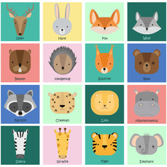 Colorful cards with vector wild animals. Cute forest and jungle animals: raccoon, deer, squirrel, hedgehog, hare, bear, fox, beaver, wolf, lion, cheetah, tiger, zebra, elephant, hippopotamus, giraffe.